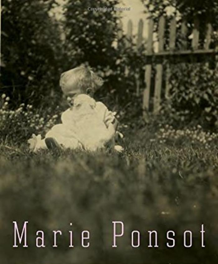 Collected Poems by Marie Ponsot