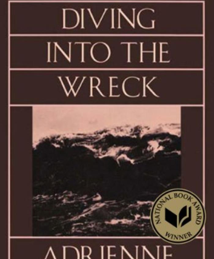 Diving Into the Wreck Book Cover Image