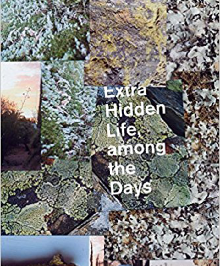 Extra Hidden Life, among the Days (Wesleyan University Press, February 2018)