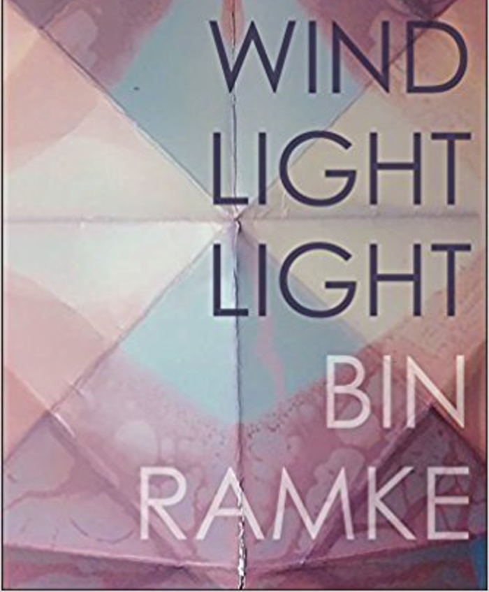 Light Wind Light Light (Omnidawn, April 2018)
